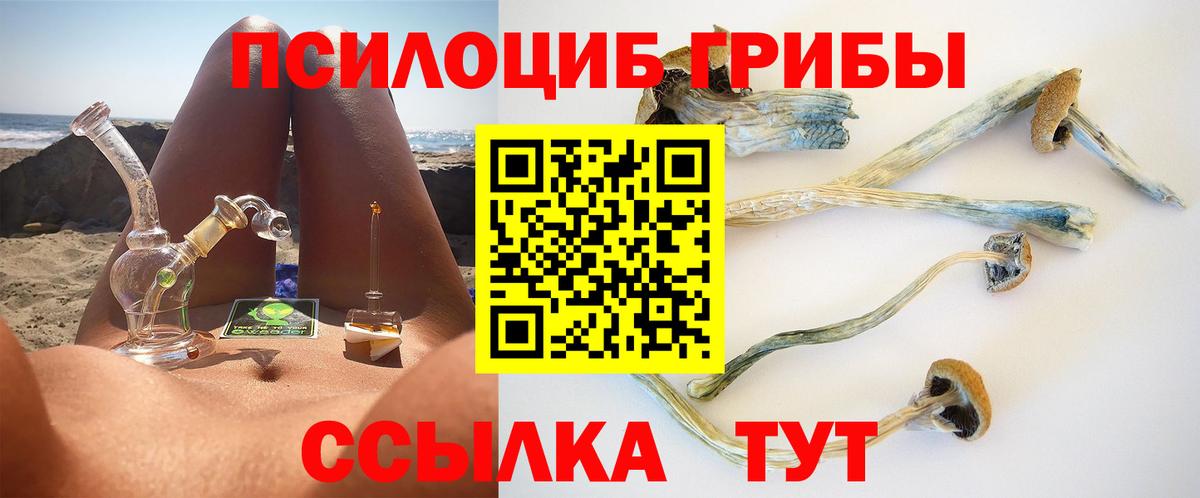 Владивосток  Псилоцибиновые грибы мицелий  Вход с VPN  Псилоцибиновые грибы ЛСД 