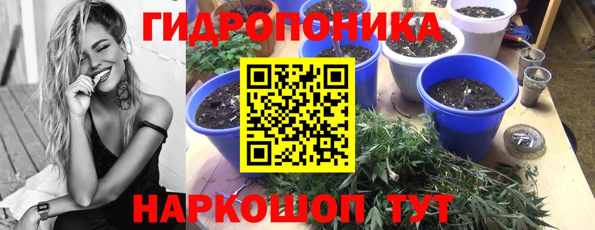 Каннабис гибрид  Канабис AK-47  Владивосток  Вход с VPN  Канабис семена  Шишки марихуана планчик 